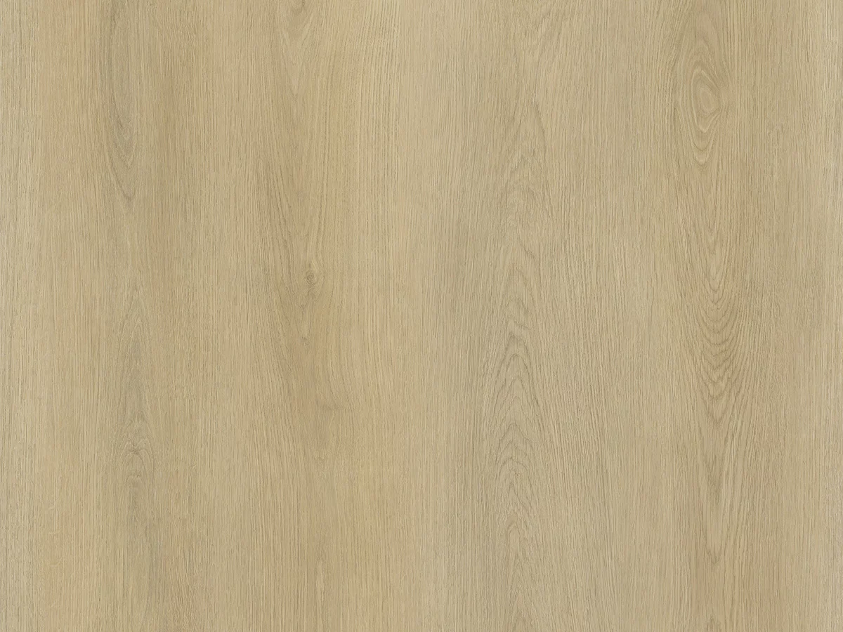 Calitex Warm Oak Plank XL Dryback (1)