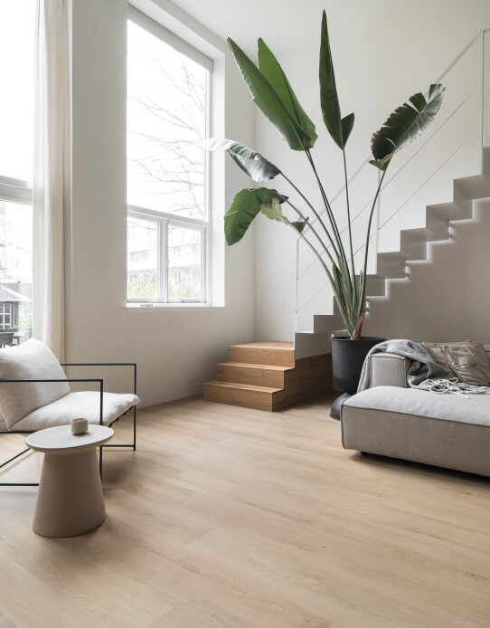 Clermont XL Plank 54822 (1)