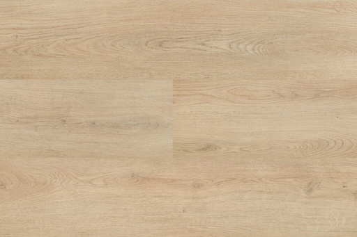 Chablis XL Plank 55857