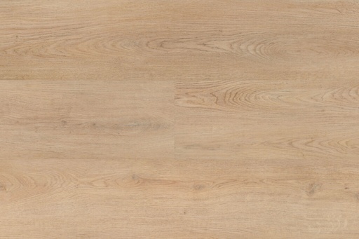 Chablis XL Plank 55858