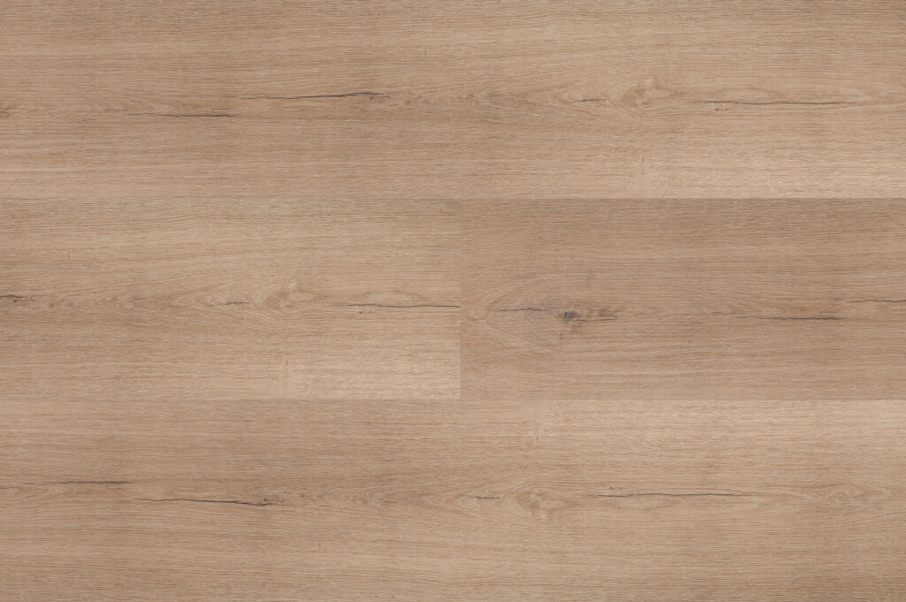 Chateau Visgraat XL 57850