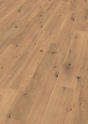 Aqua Large V4 8mm Drift Oak 1