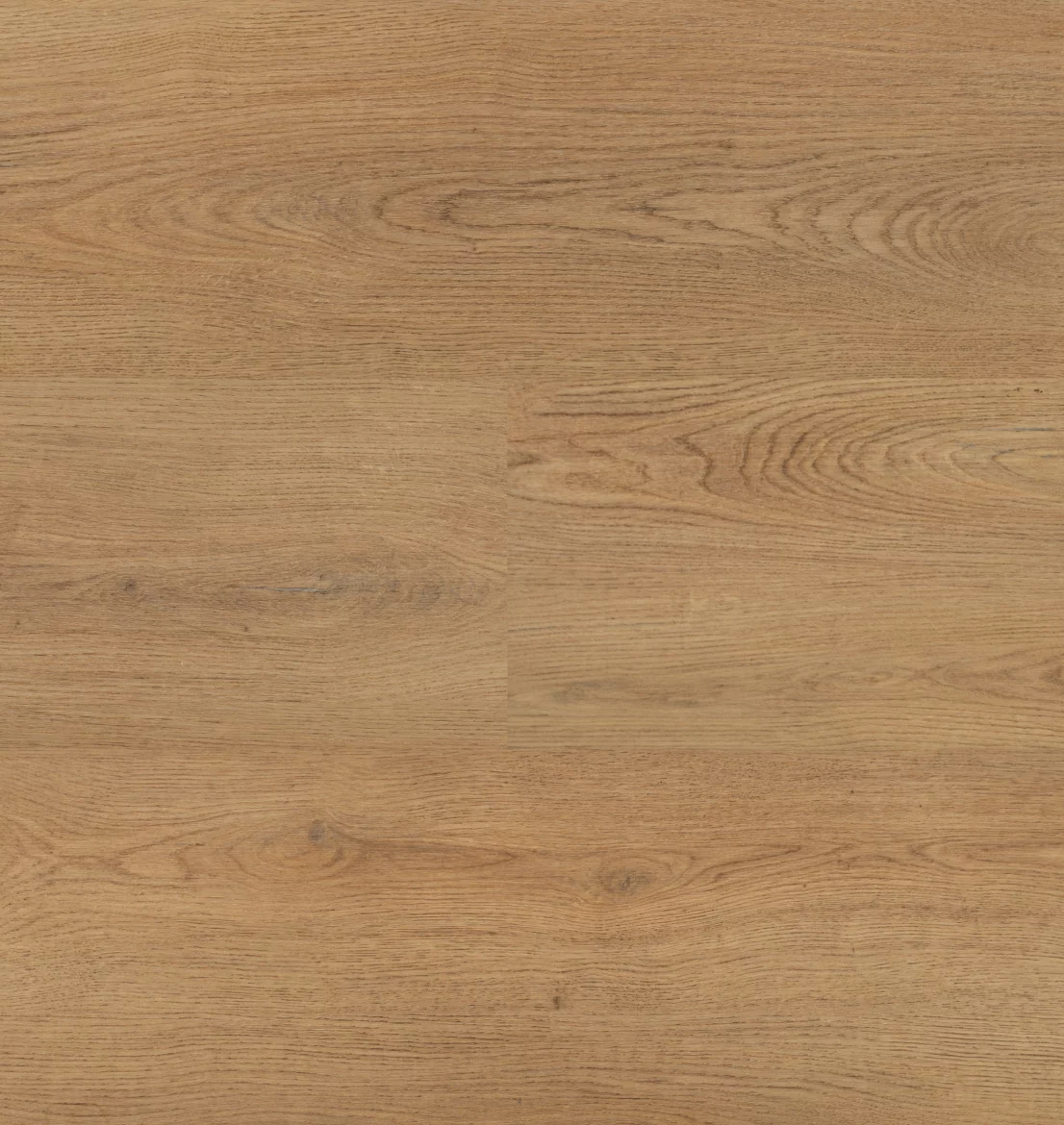 Hebeta Chablis 55859 Plank XL Click (1)