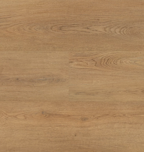 Hebeta Chablis 55859 Plank XL Click (1)