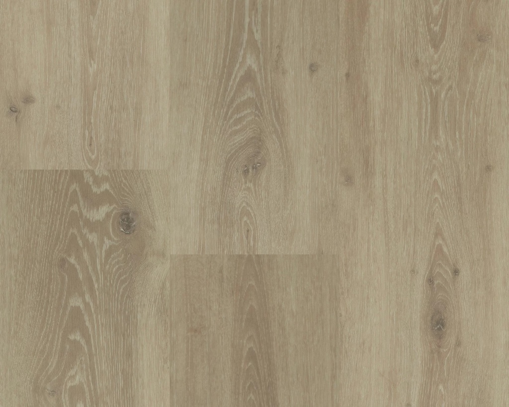 Hebeta Chamonix 55804 Plank XL Click (1)