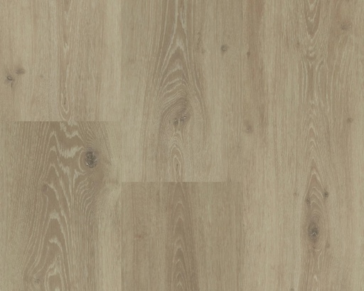 Hebeta Chamonix 54804 Plank XL Dryback (1)
