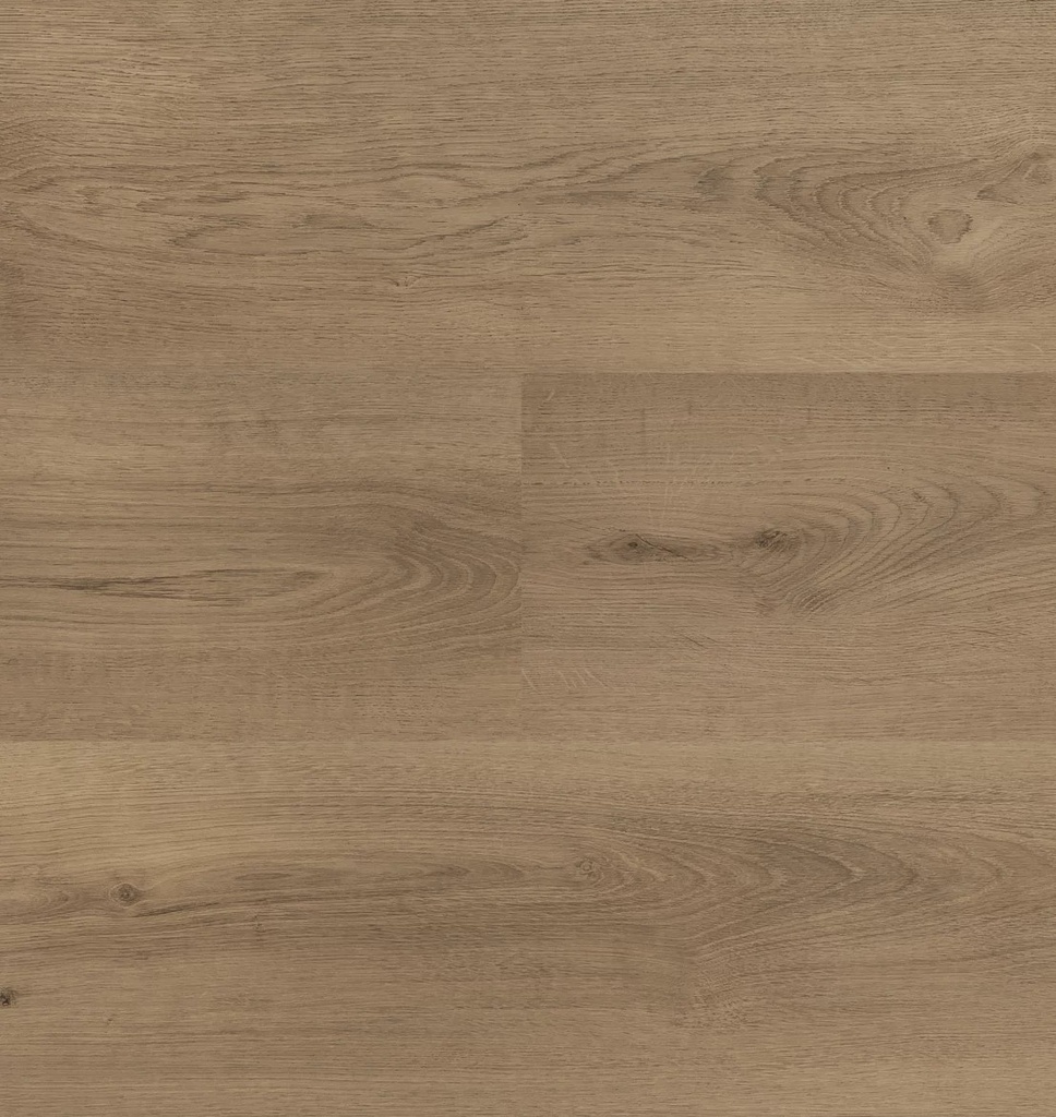 Hebeta Clermont 54825 Plank XL Dryback (1)