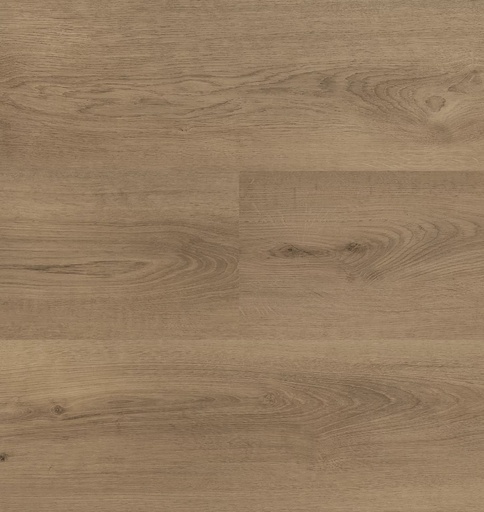 Hebeta Clermont 54825 Plank XL Dryback (1)