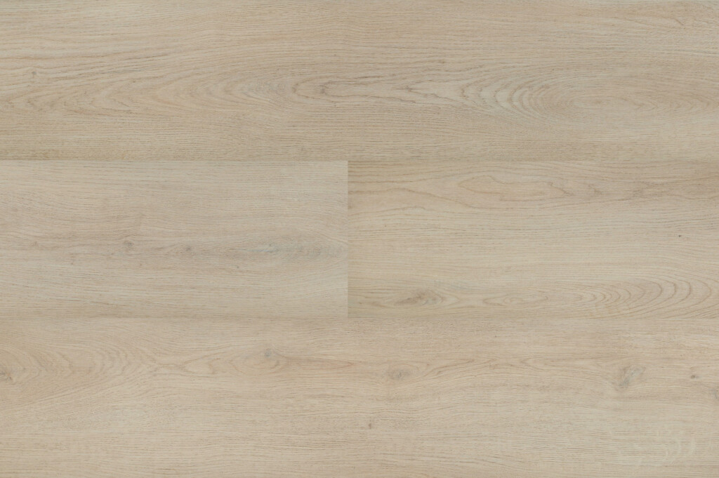 [55856] Chablis XL Plank 55856