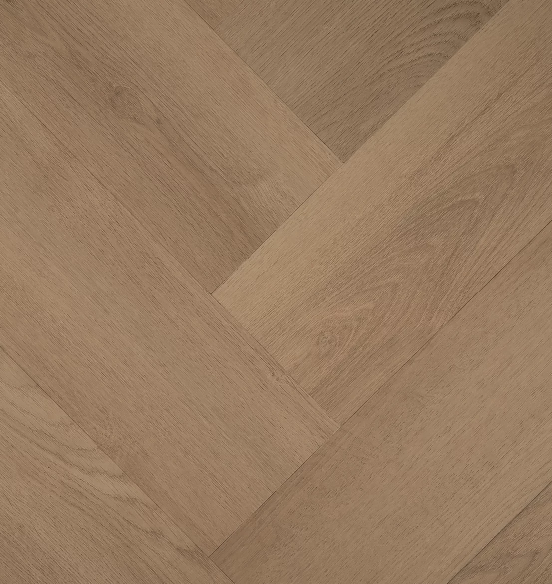 Hebeta Clermont 57824 Visgraat Click (1)