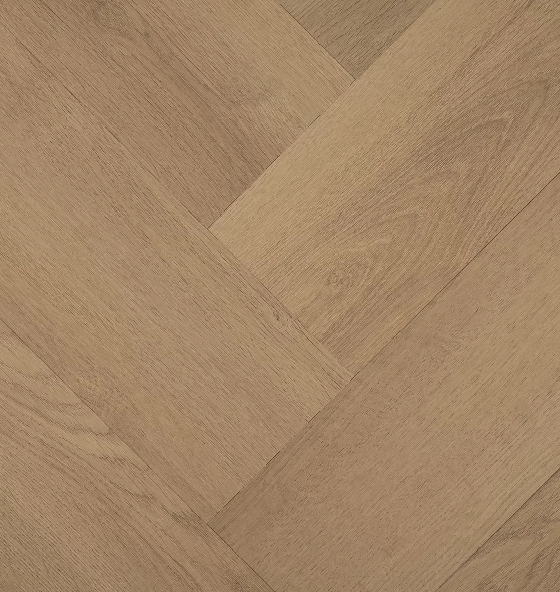Hebeta Clermont 57822 Visgraat Click (1)