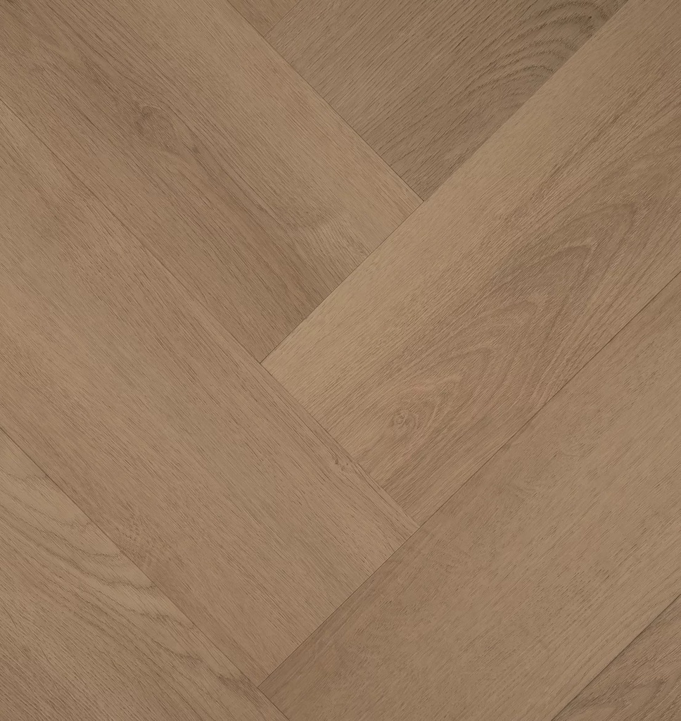 Hebeta Clermont 77824 Visgraat Dryback (1)