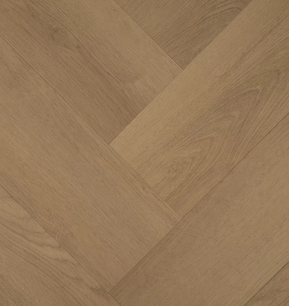 Hebeta Clermont 77825 Visgraat Dryback (1)