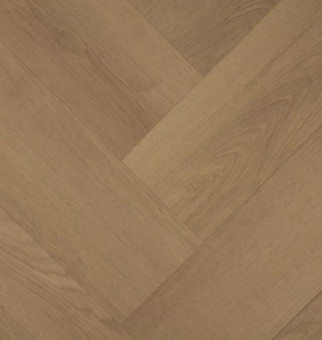 Hebeta Clermont 77825 Visgraat Dryback (1)