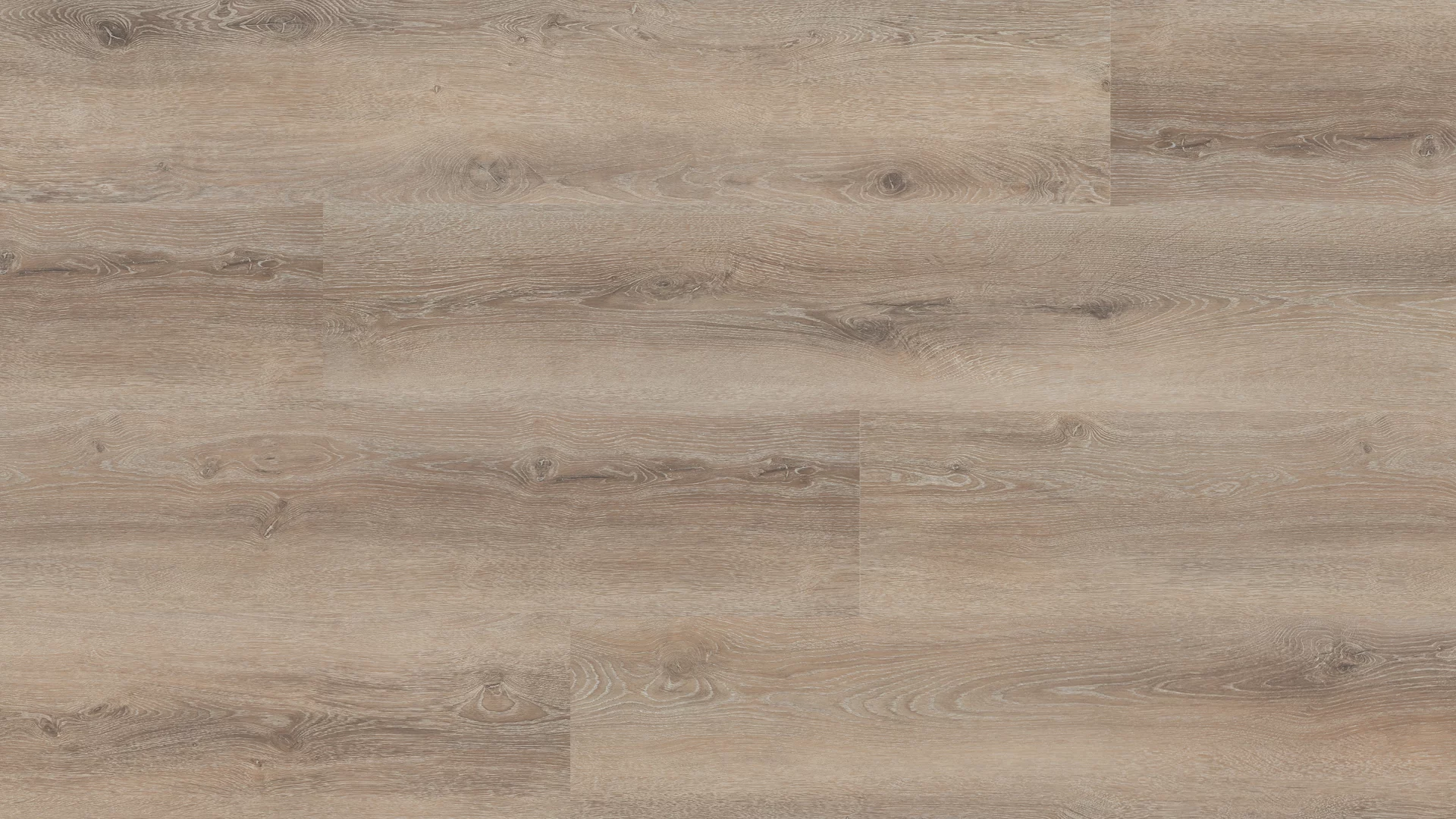 Hebeta Progress 55817 Plank XL Click (1)