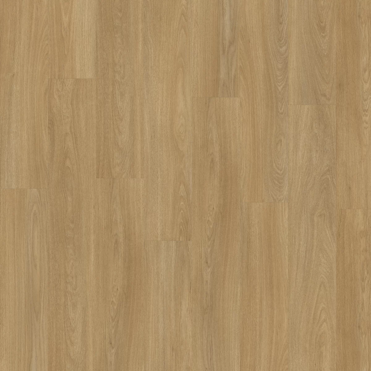 Lifestyle Interior Elemental 85833 Plank Click (1)