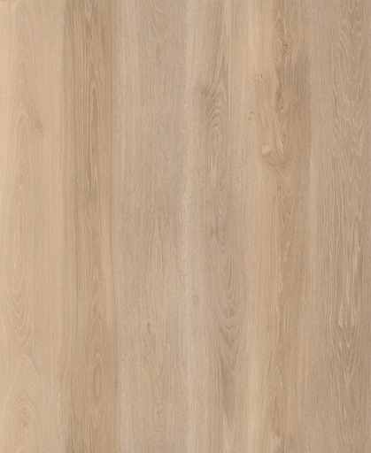 Lifestyle Interior Walk On Me 6678 Plank XL Dryback (1)