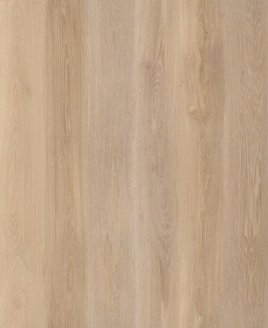 Lifestyle Interior Walk On Me 6678 Plank XL Click (1)