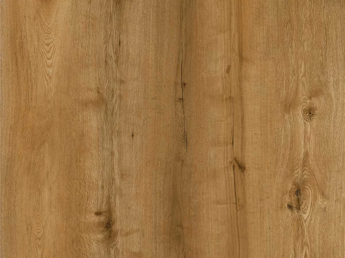 Calitex Gold Plank XL Dryback (1)