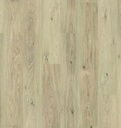 Plank Austin 8-628 (2)