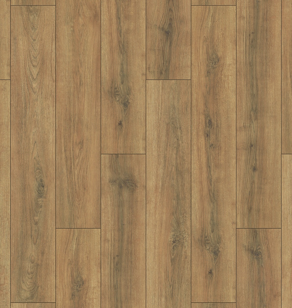 Plank Austin 8-648 (2)