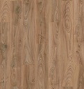 Plank Chicago 10-5947 (1)