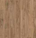 Plank Chicago 10-5947 (2)