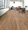 Plank Chicago 10-5947 (3)