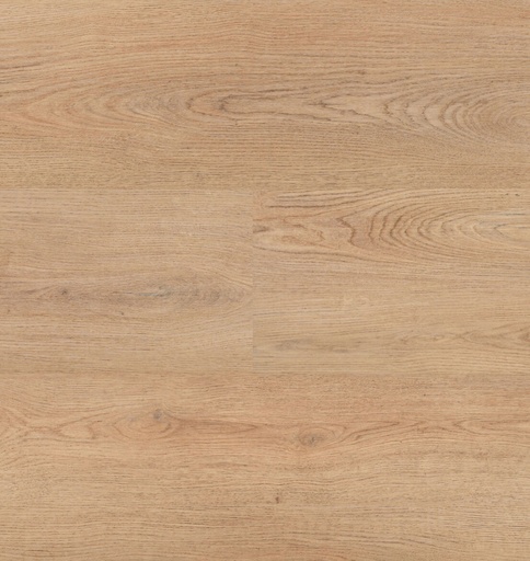 Chablis XL Plank 54859 (1)