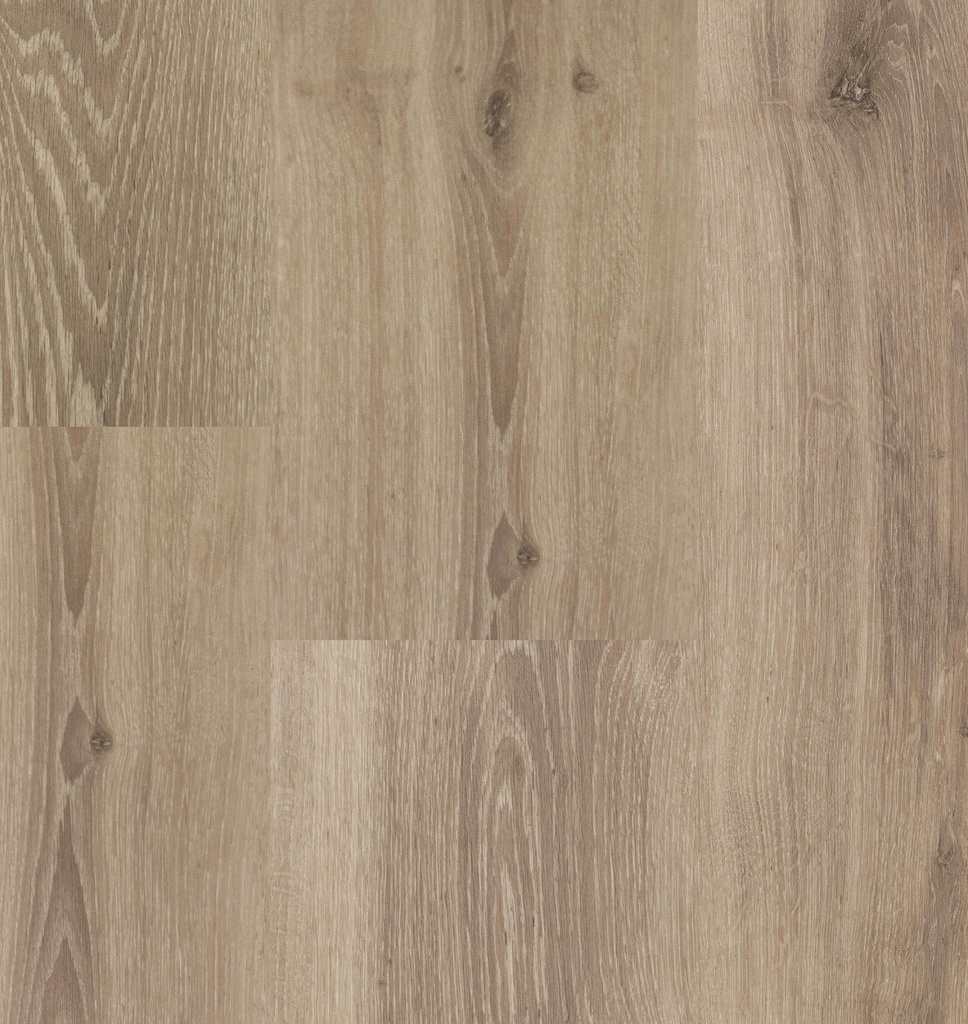 Chamonix XL Plank 54813 (1)