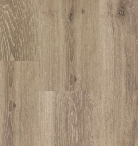 Chamonix XL Plank 54813 (1)