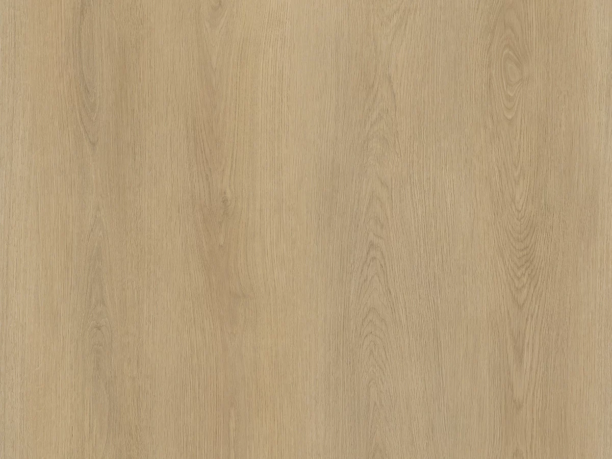 Calitex Sunny Oak Plank XL Dryback (1)