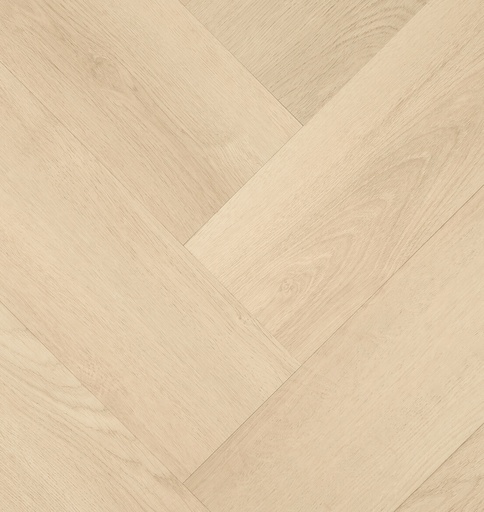 Clermont Visgraat XL 77821 (1)
