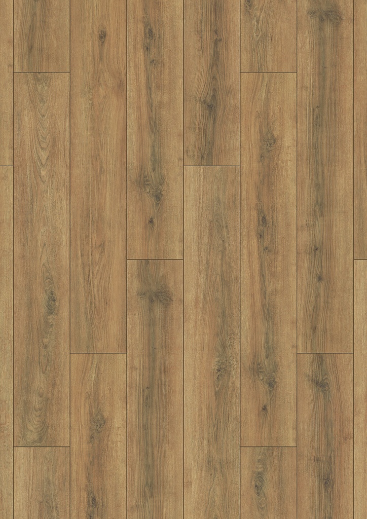 Plank Austin 8-648