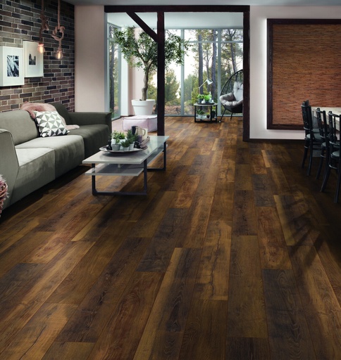 [411] Plank Chicago 10-411