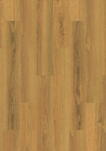 [649] Plank Miami 8-649