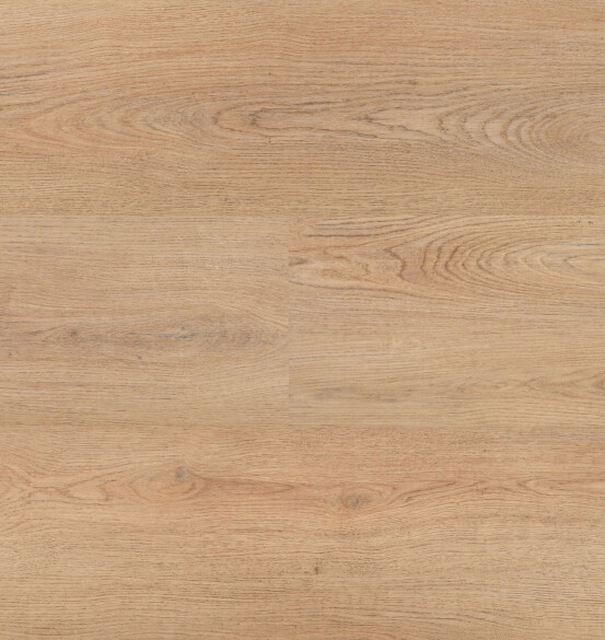 [54859] Chablis XL Plank 54859