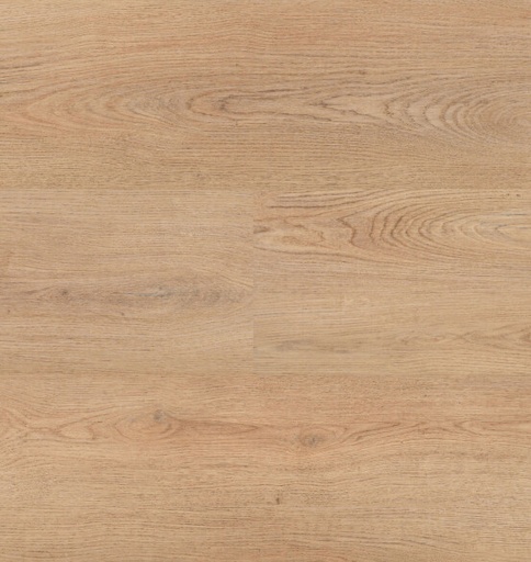 [54859] Chablis XL Plank 54859