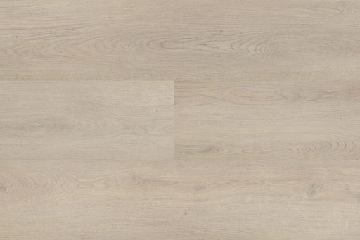 [55855] Chablis XL Plank 55855