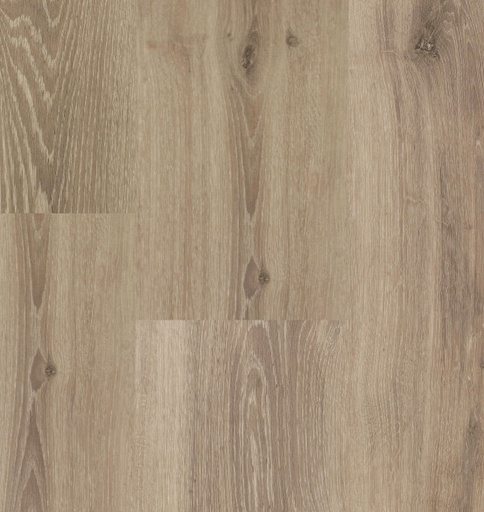 [54813] Chamonix XL Plank 54813