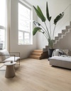 Clermont XL Plank 54820
