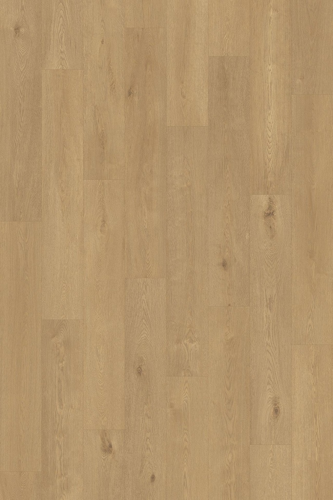 Vinywood 13 Plank / 723 / Hout Lichtbruin