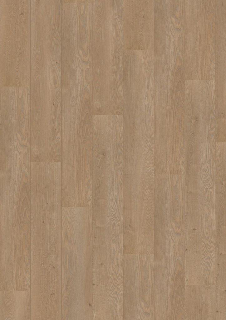 Royal V2 Lombardije 4939 – Aquaprotect