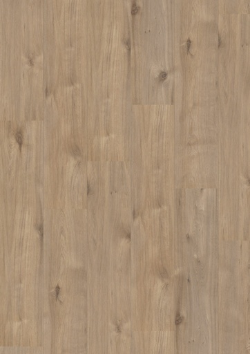 [16208] Royal XL V2 Alpe d’Huez 969 – Aquaprotect
