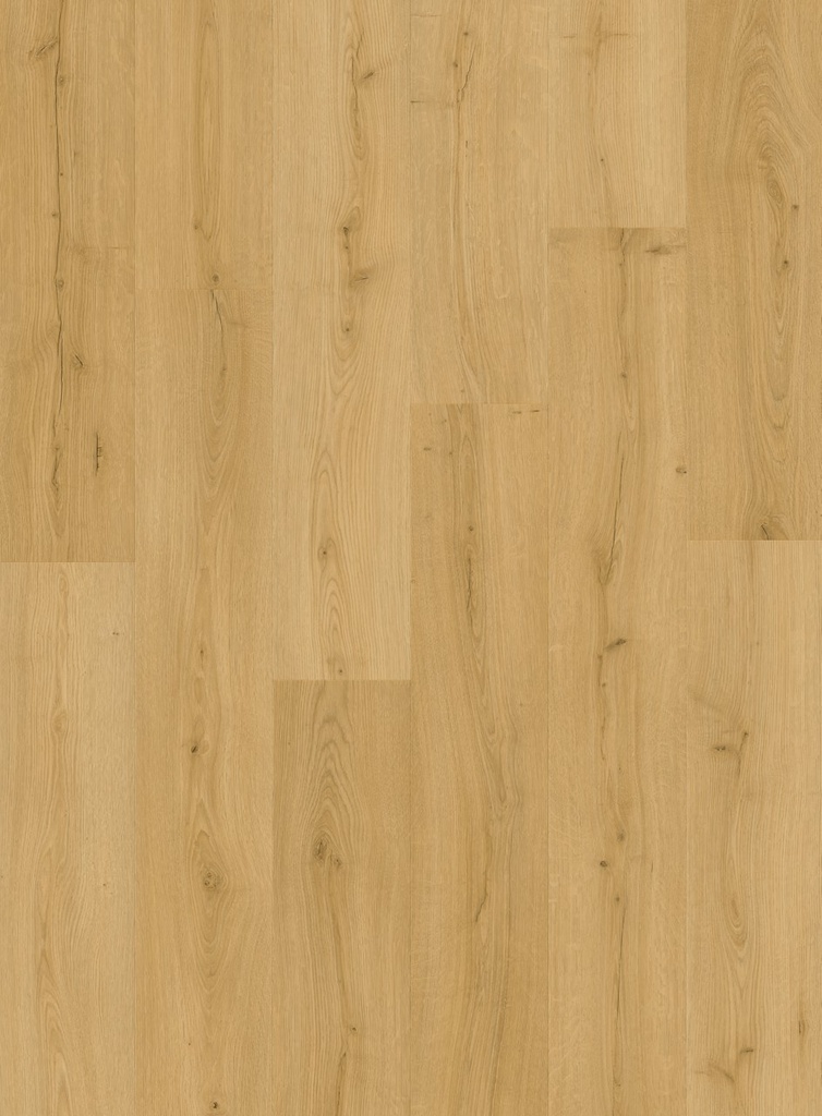 Quick-Step Bloom Geborstelde eik honing Plank XL Click