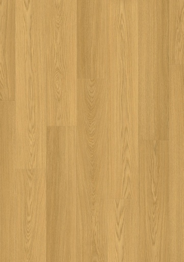 [SIG4749] Geverniste naturelle eik