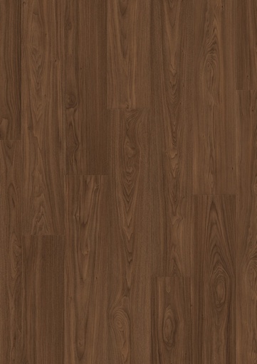 [SIG4761] Chique notelaar