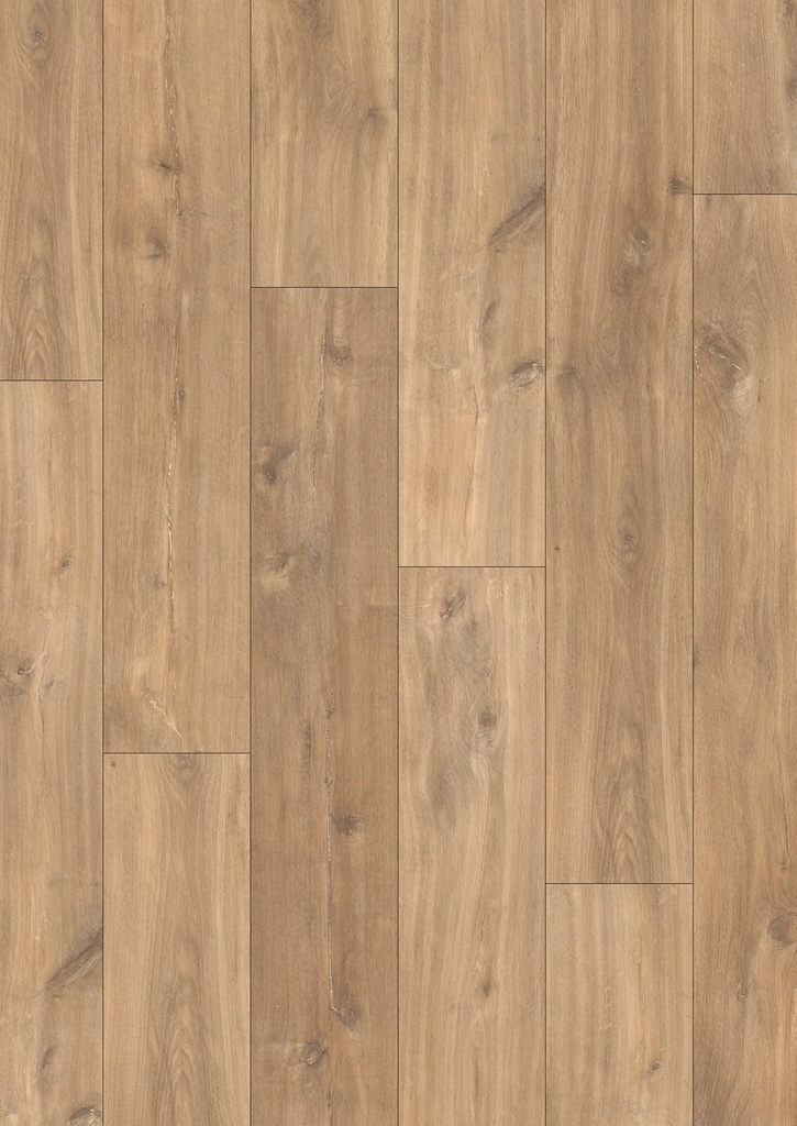 [CLM1487] Middernacht naturelle eik