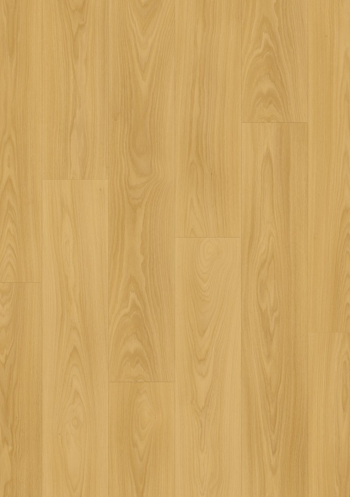 [CLM5794] Biscuit bruine eik