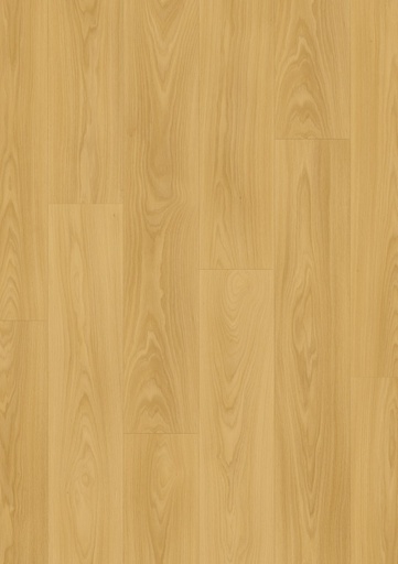 [CLM5794] Biscuit bruine eik